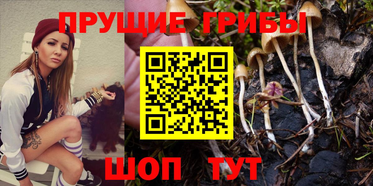 Псилоцибиновые грибы Magic Shrooms Карталы